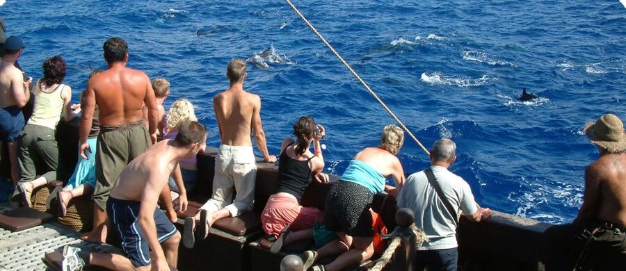 Madeira Pirate Ship: 3-Hour Boat Trip - Leaving Funchal Marina for the south coast