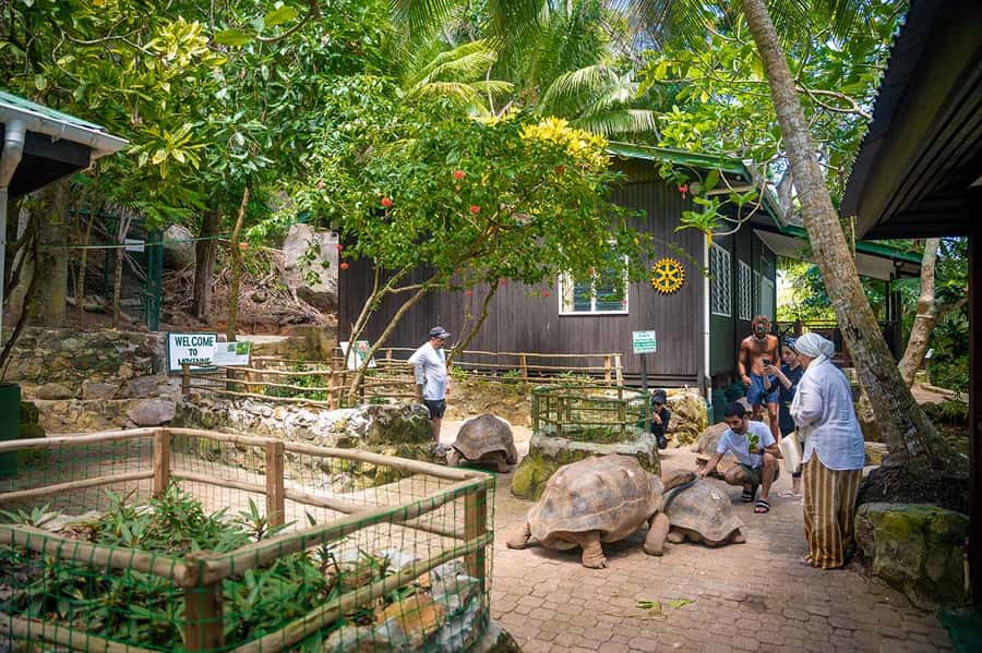 Mahé: Saint-Anne Marine Park and Moyenne Island Cruise - Why Moyenne Island is the heart of the day