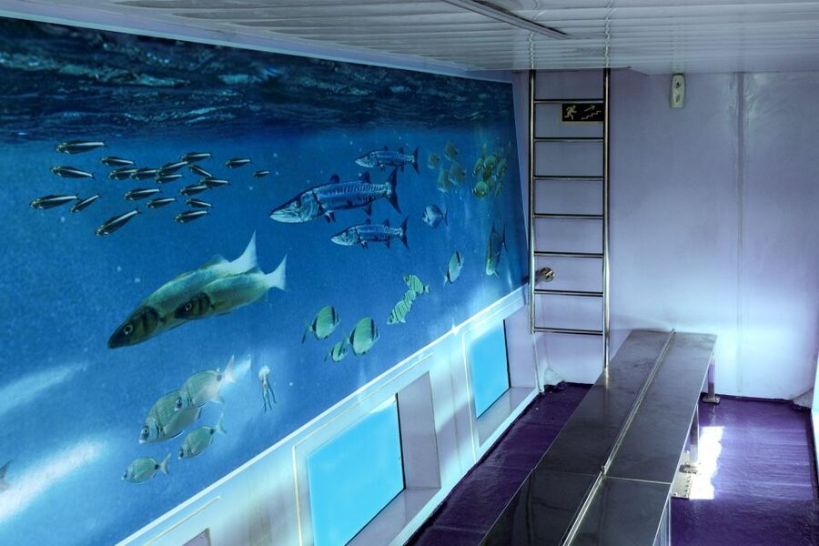 Mahon: Harbor Boat Tour with Underwater Viewing & Commentary - Commentary, languages, and the pace of the hour