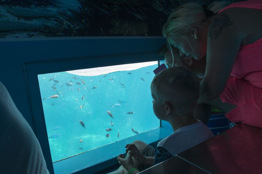 Mahon: Harbor Boat Tour with Underwater Viewing & Commentary - Should you book the Don Joan harbor cruise?