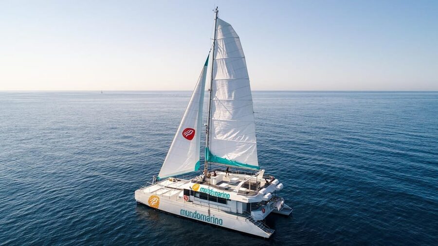 Malaga: Catamaran Sailing Cruise with Swimming & Optional DJ - Drinks, bar service, and value for $23