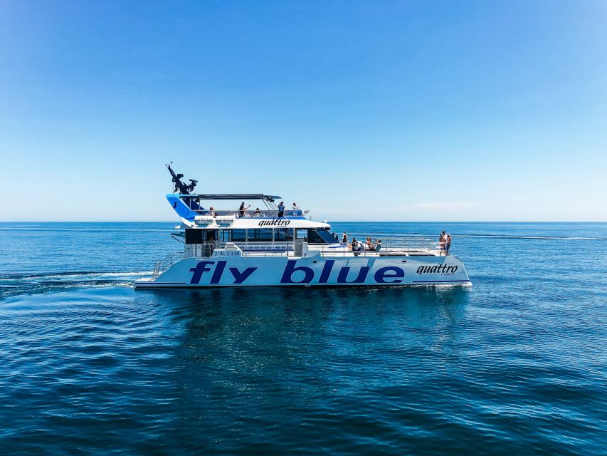 Málaga: Scenic Catamaran Cruise - Booking, Cancellation, and Practical Details