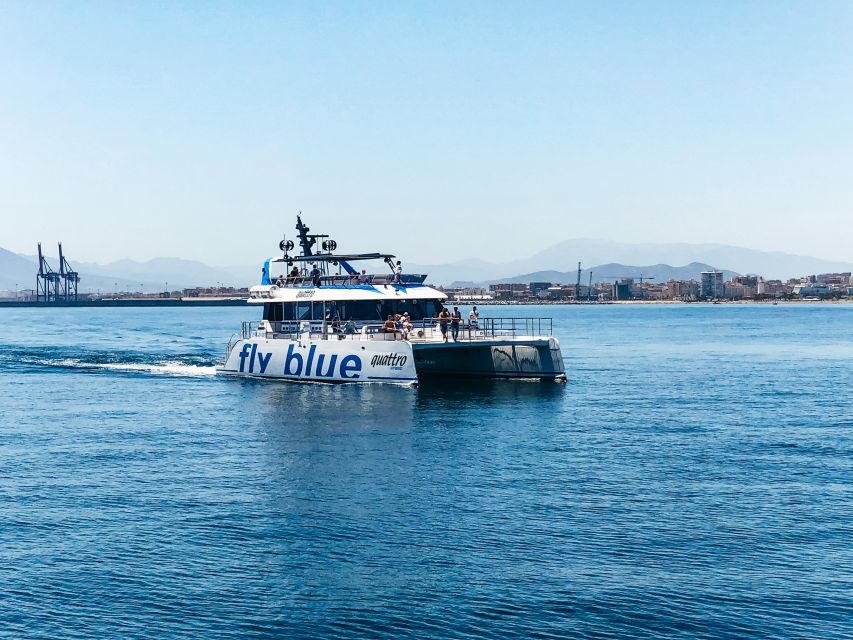 Málaga: Scenic Catamaran Cruise - Swimming: Treat It as a Bonus, Not a Promise
