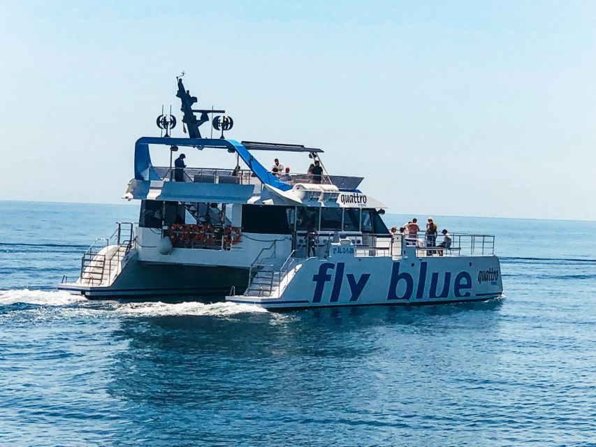 Málaga: Scenic Catamaran Cruise - Price and Value at About $15