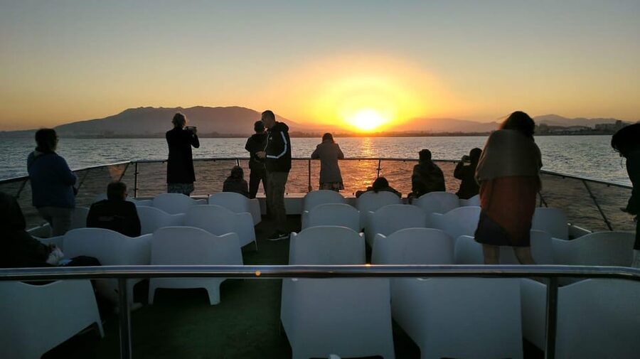 Málaga: Sunset Catamaran Trip - Space, families, and solo visitors