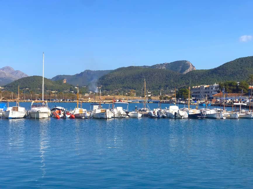 Mallorca: Coastal Cruise to Port of Andratx with swim stop - Practical tips for a smoother four hours