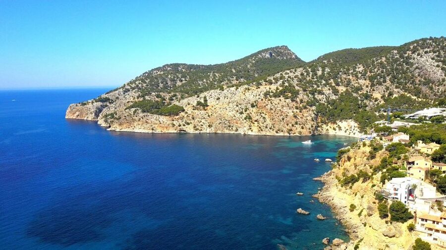 Mallorca: Coastal Cruise to Port of Andratx with swim stop - Swimming near Cala Egos and other clear bays