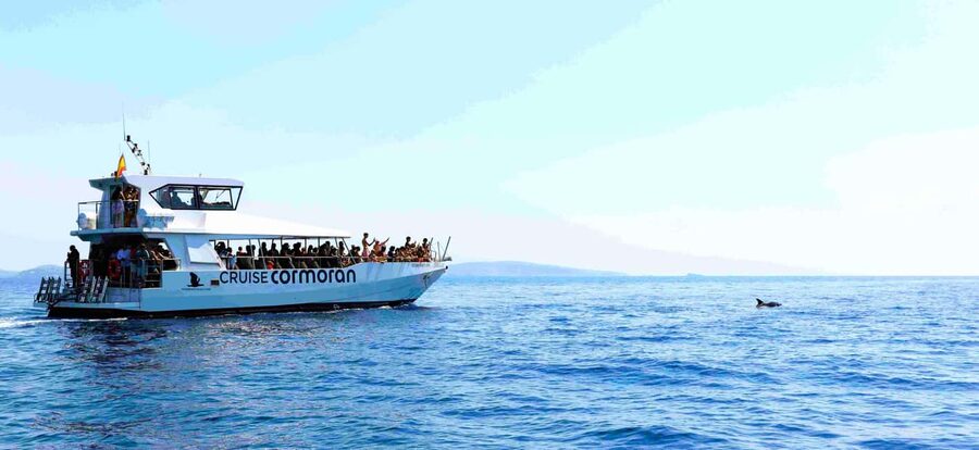 Mallorca: Coastal Cruise to Port of Andratx with swim stop - Cala en Tió cave, if the weather allows