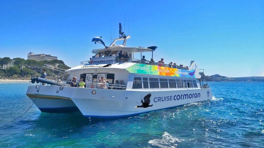 Mallorca: Coastal Cruise to Port of Andratx with swim stop - Forty minutes at Port d’Andratx