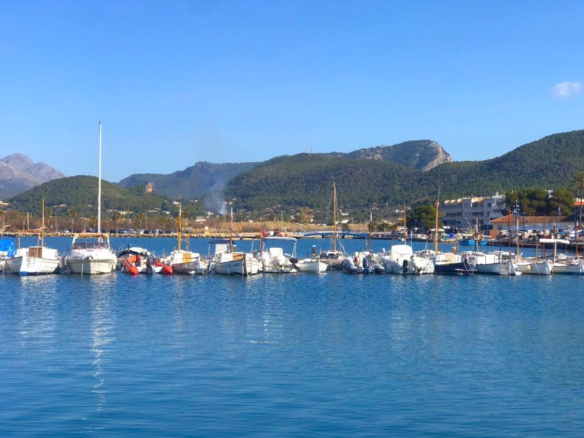 Mallorca: Coastal Cruise to Port of Andratx with swim stop - The Malgrats Islands and the open-water views