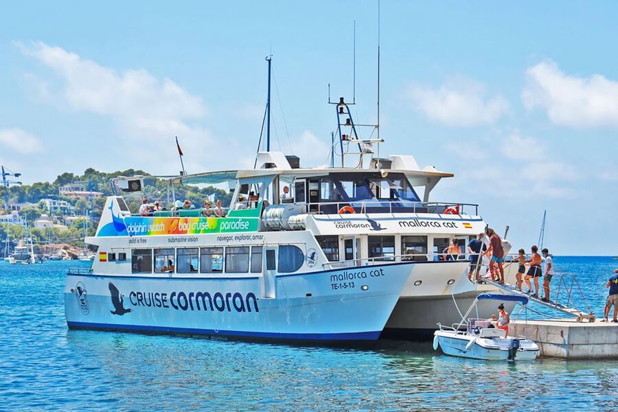 Mallorca: Dolphin Watching Cruise - Dolphin watching without a guarantee