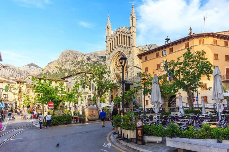 Mallorca: Full-Day Island Tour by Train, Tram, and Boat - Port de Sóller: a short look at the harbor