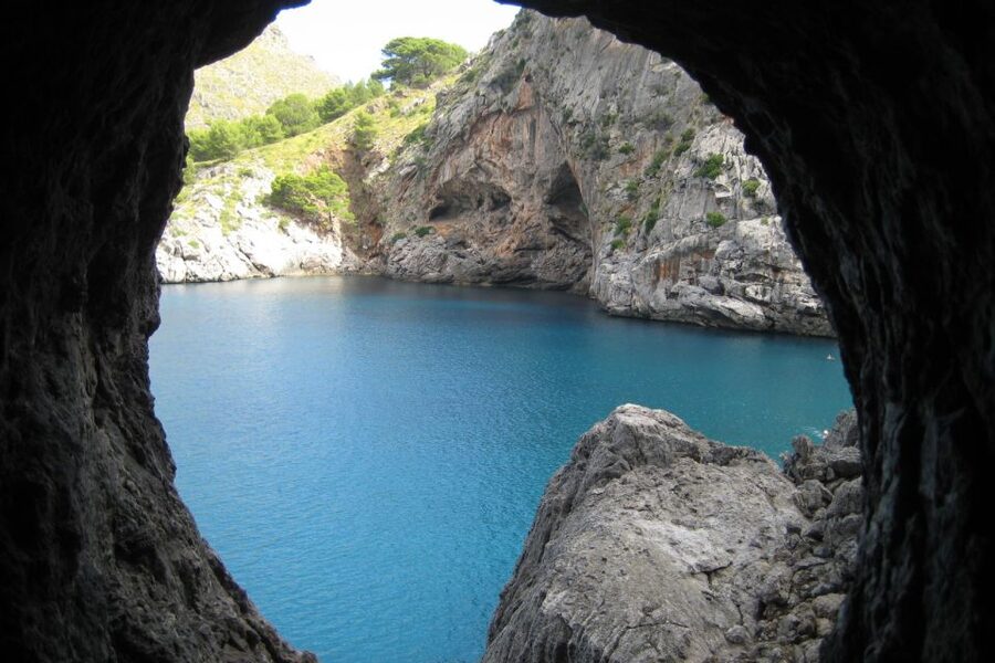 Mallorca: Island Tour with Boat, Train, and Hotel Transfer - The vintage train from Palma to Sóller
