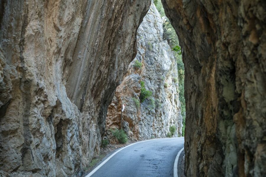 Mallorca: Island Tour with Boat, Tram & Train from the South - Port de Sóller, the tram, and the wooden train