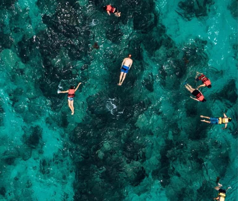 Mallorca: Palma Boat Tour & Snorkeling with Drink Included - Drinks, bar service, and onboard comfort
