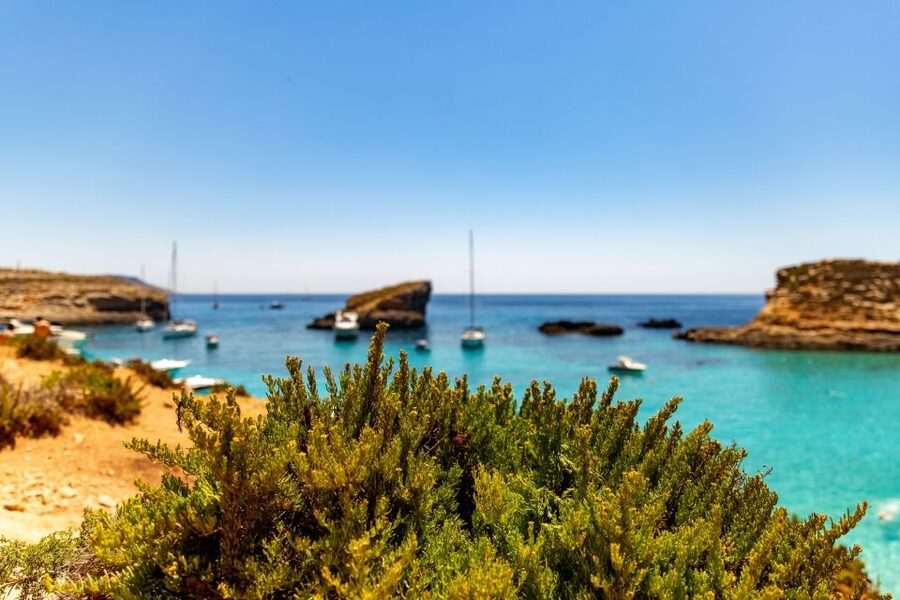 Malta: Comino Blue Lagoon Boat Tour, Sea Caves & Swim Stops - Key points to know before you book