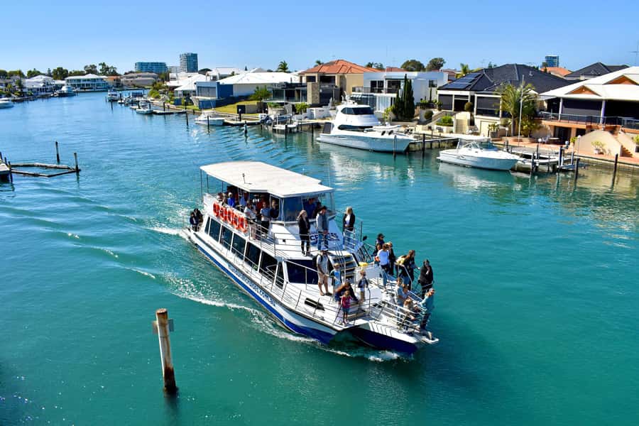 Mandurah: Dolphin and Views Cruise - Dolphins, canals, and Mandurah’s waterfront homes