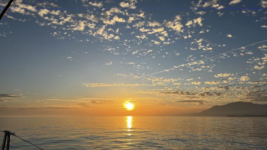 Marbella: Sunset Sailing Trip with Drinks and Snacks - Wildlife and photographs