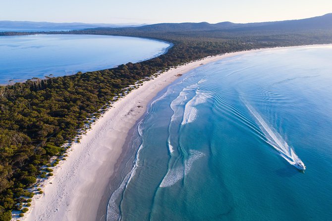 Maria Island Cruise and Guided Walk Day Tour with Lunch and Drinks - Morning tea, lunch, and a drink on board