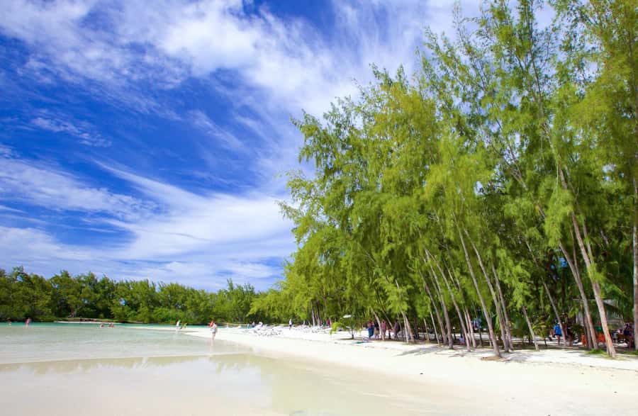 Mauritius: Catamaran Cruise to Ile Aux Cerfs with BBQ Lunch - Key points to know before booking