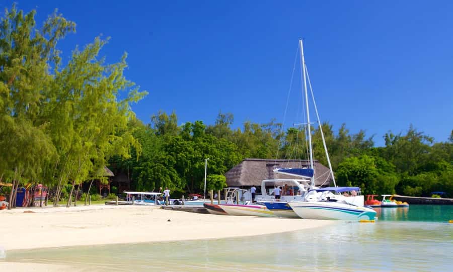 Mauritius: Catamaran Cruise to Ile Aux Cerfs with BBQ Lunch - What $64 buys you