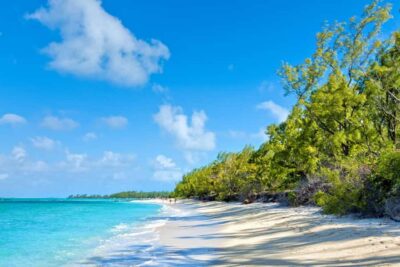 Ile Aux Cerfs Catamaran Trip w/ Lunch & Transfer