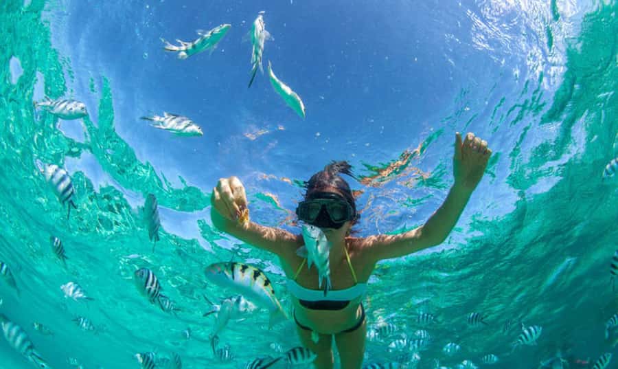 Mauritius: Ile Aux Cerfs Catamaran Trip w/ Lunch & Transfer - Weather, cancellations, and the right expectations