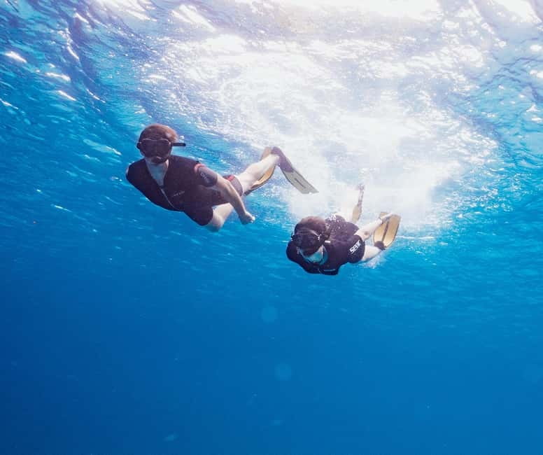 Menorca: Hidden Gems of South Coast Cruise - Who will enjoy this cruise most