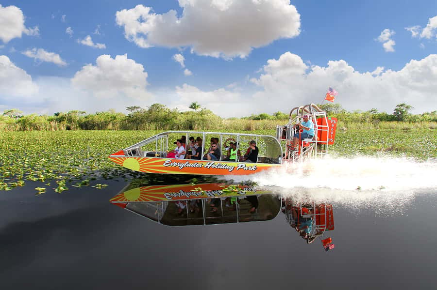 Miami: Everglades Experience, Bay Cruise & Open-Top Bus Tour - Is $80 good value?
