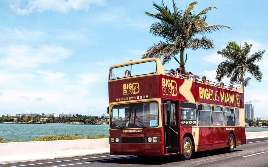 Miami: Hop-on Hop-off Open-top Bus Tour and Optional Cruise - South Beach and Ocean Drive