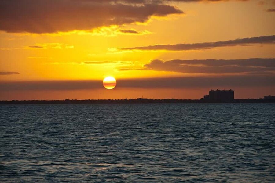 Miami Skyline Sightseeing Cruise and Millionaire Mansions - The Venetian Islands and San Marco Island