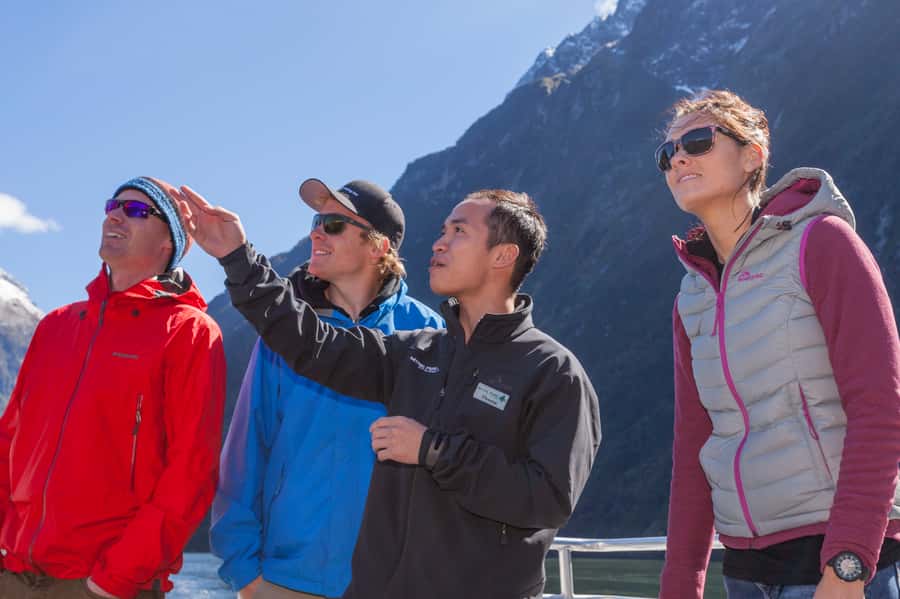 Milford Sound: 2-Hour Small Boat Scenic Cruise - Seal Rock and the search for wildlife