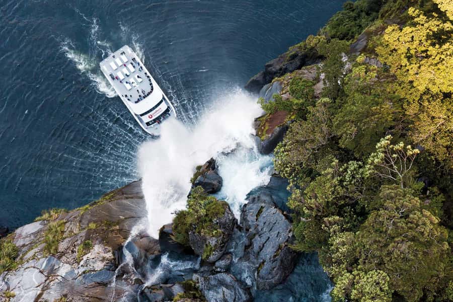 Milford Sound: Nature Cruise - Grand Views & Optional Lunch - Stirling Falls and the famous spray