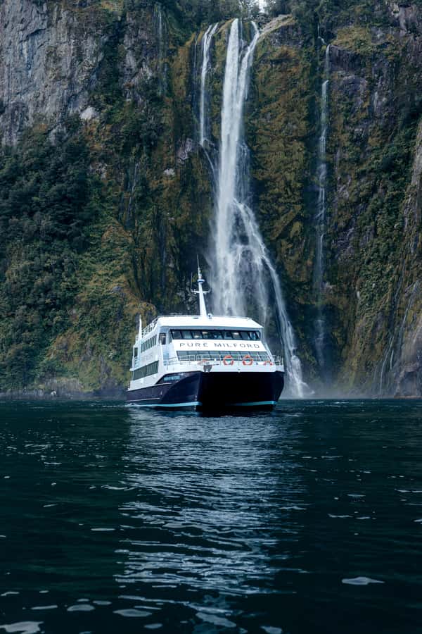 Milford Sound: Nature Cruise on a Modern Catamaran - Key points to know before you book