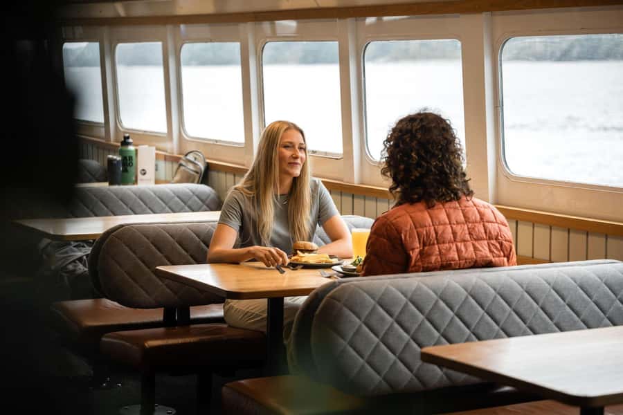Milford Sound: Wildlife & Nature Cruises - Looking for seals, dolphins, and penguins