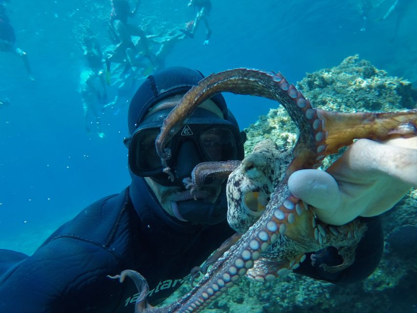 Milos: Half-Day Speedboat Cruise to Klefiko with Snorkeling - Why a speedboat makes sense on Milos