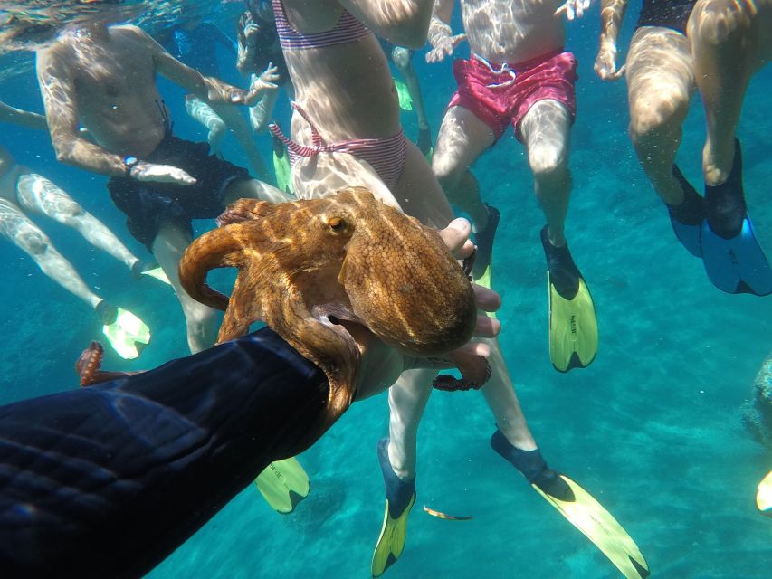 Milos: Half-Day Speedboat Cruise to Klefiko with Snorkeling - Who will get the most from this cruise