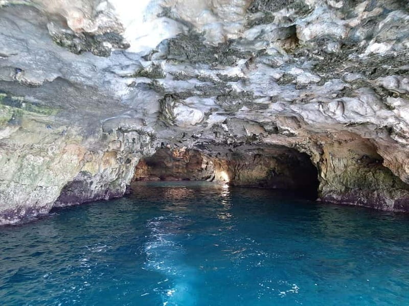 Monopoli: 2.5 Hour Boat Tour to the Polignano a Mare Caves - Eremita Island and the coast near Polignano