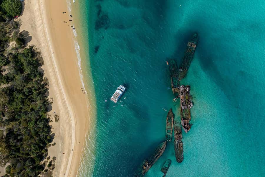 Moreton Island: Dolphin & Tangalooma Wrecks Snorkel Cruise - Key points at a glance