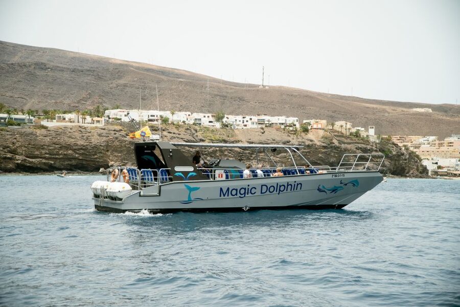Morro Jable: Dolphin & Whale Watching Cruise, Drinks & Swim - Leaving Morro Jable with the Magic Dolphin
