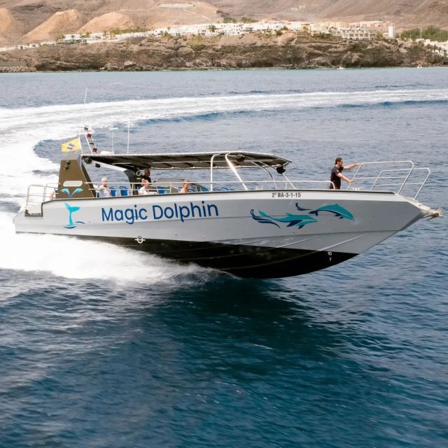 Morro Jable: Dolphin & Whale Watching Cruise, Drinks & Swim - Comfort, motion, and seasickness