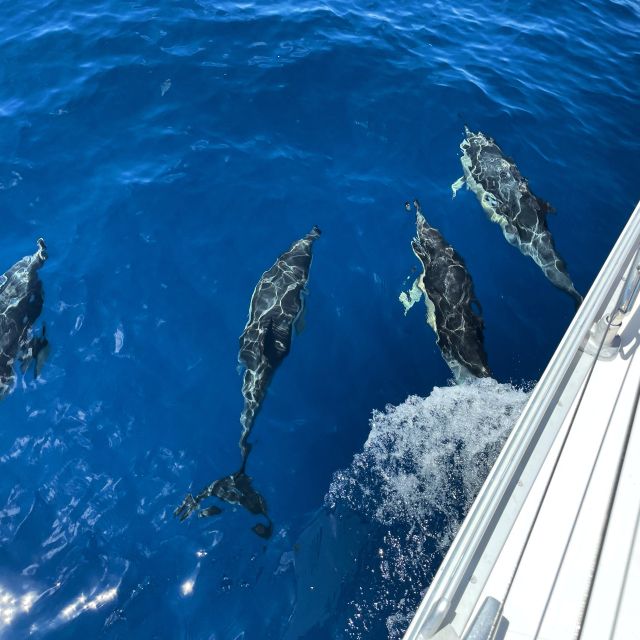 Morro Jable: Sailing Boat Excursion with Food and Drinks - Leaving Morro Jable with Fuerteventura in view