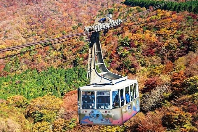 Mt Fuji & Hakone Cruise, Drum Show Bullet Train 1 Day from Tokyo - Price, pace, and practical comfort