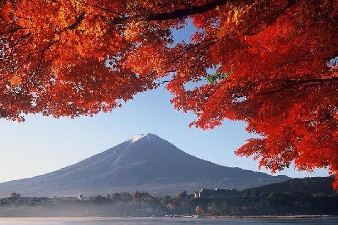 Mt Fuji & Hakone Cruise, Drum Show Bus 1 Day from Tokyo - How much time you really spend sightseeing