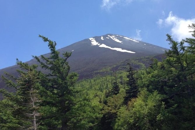 Mt Fuji & Hakone Cruise, Drum Show Bus 1 Day from Tokyo - Is $122.55 a fair price?