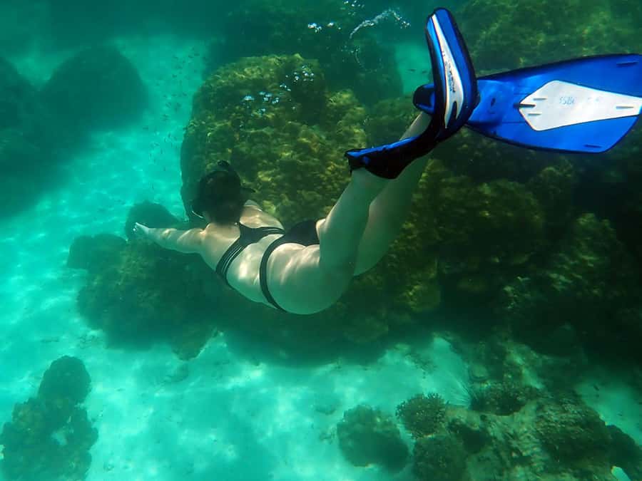 Mu Ko Ang Thong Park: Semi-private Sunset Cruise Tour - Koh Wao snorkeling with a guide