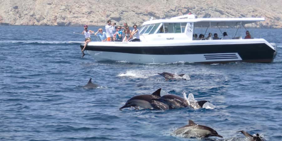 Muscat: Dolphin Watching Boat Tour - Why Muscat’s dolphin trip is worth your morning