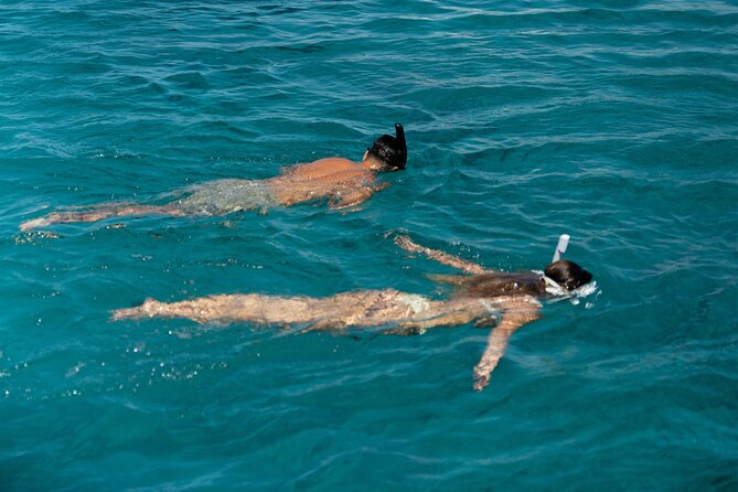 Mykonos: Brand-New Catamaran Cruise with Meal, Drinks & Transport - Who will enjoy this Mykonos cruise?