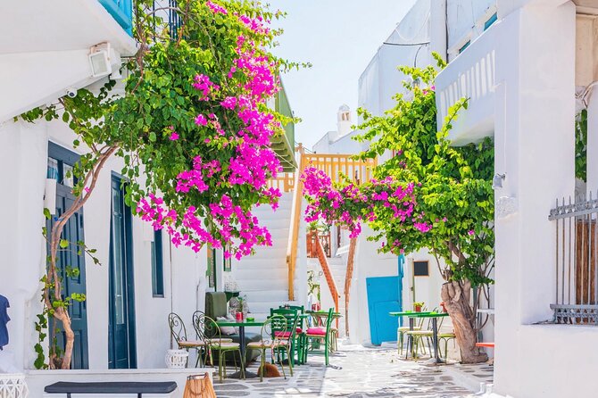 Mykonos: Small Group Tour for Cruise Passengers —Port Pickup - What the guides add
