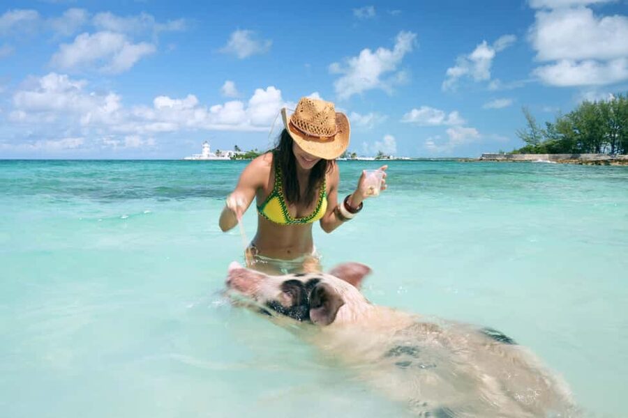 Nassau: Swimming Pigs, Snorkeling, Lunch, & Beach Boat Tour - The Nassau departure begins with harbor views